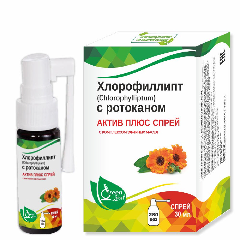 Хлорофиллипт Цена Нижний Новгород Хлорофиллипт Цена Нижний Новгород