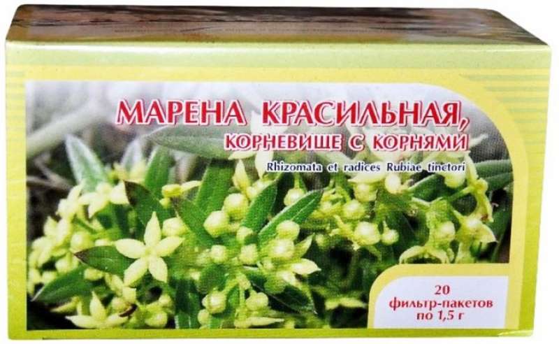 Марена красильная почки