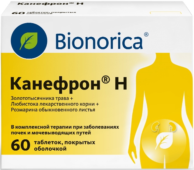 Канефрон Н 60 шт. таблетки покрытые оболочкой купить по цене от 890 руб в Мурманске, заказать с доставкой, инструкция по применению, аналоги, отзывы