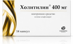 Холитилин 400мг 14 шт. капсулы