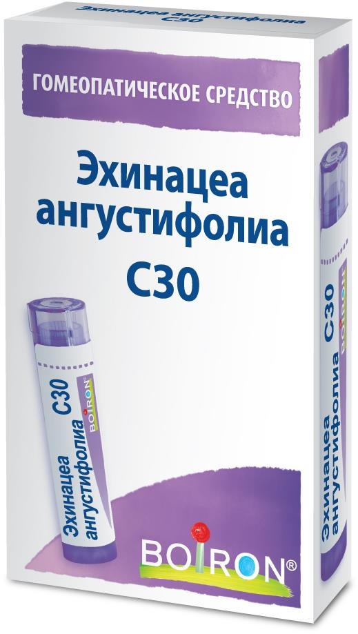 Эхинацея ангустифолиа c30 4г гранулы гомеопатические