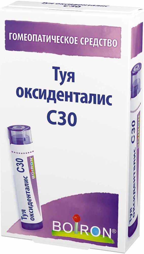 Туя оксиденталис с30 4г гранулы гомеопатические