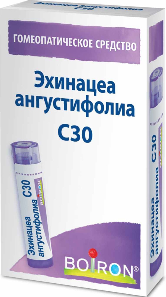 Эхинацея ангустифолиа c30 4г гранулы гомеопатические